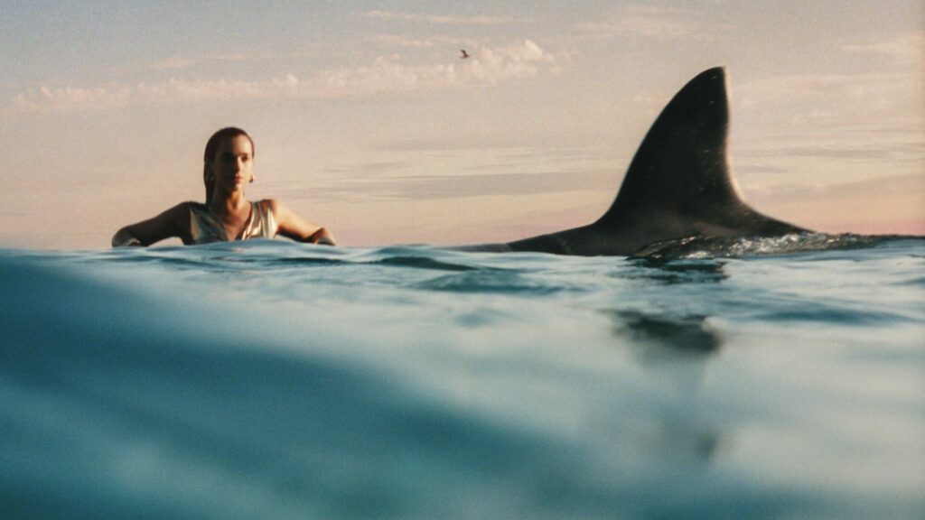 dua lipa radical large