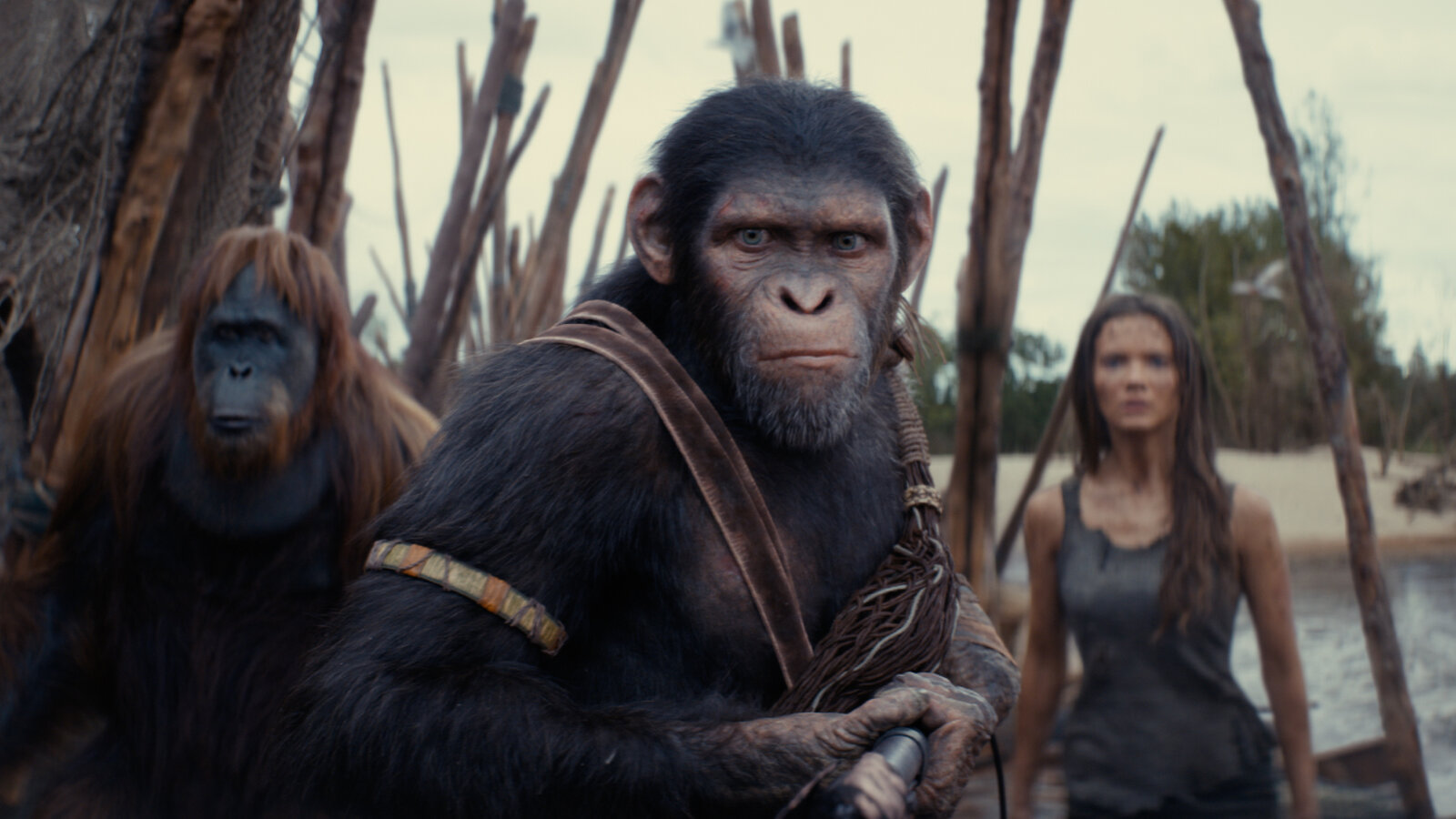 Kingdom of the Planet of the Apes